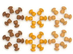 Grapat 36 kleine paddenstoelen - houten Mandala - New