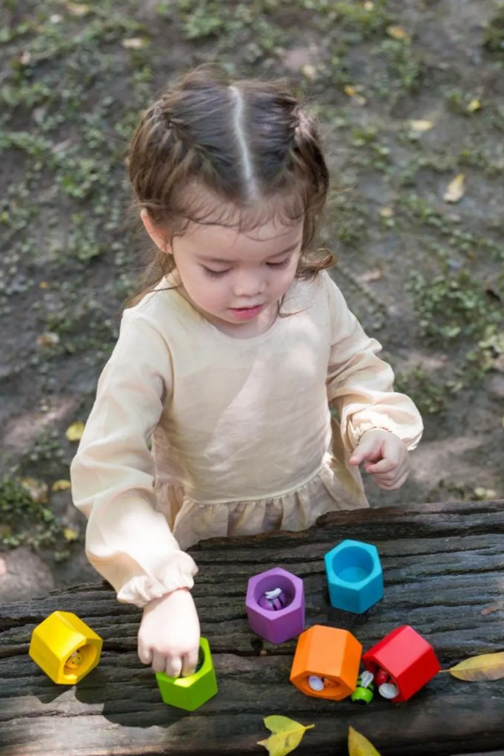 PlanToys Bijenkorf - New