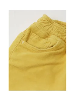 Arsene et les pipelettes Broek in velours - ocre - Outlet