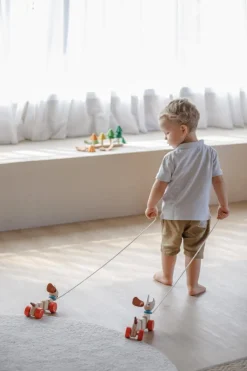 PlanToys Happy Puppy trekspeeltje - Outlet