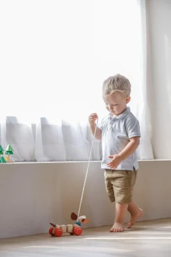 PlanToys Happy Puppy trekspeeltje - Outlet