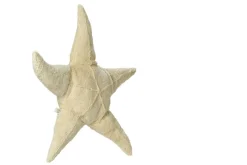 Senger Naturwelt Knuffel zeester met warmtekussen pitjes - Small -